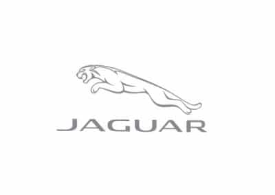 Jaguar-esp